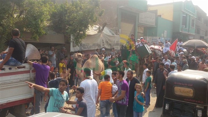 بالصور.. أهالى الخانكة ينظمون مسيرة بالجمال لحضور مولد السيد البدوى