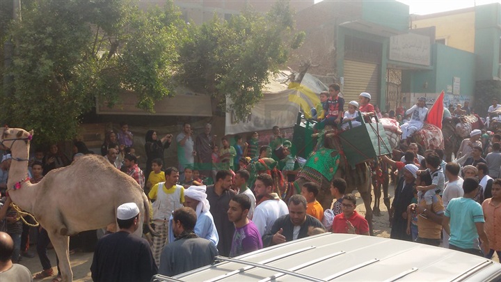 بالصور.. أهالى الخانكة ينظمون مسيرة بالجمال لحضور مولد السيد البدوى