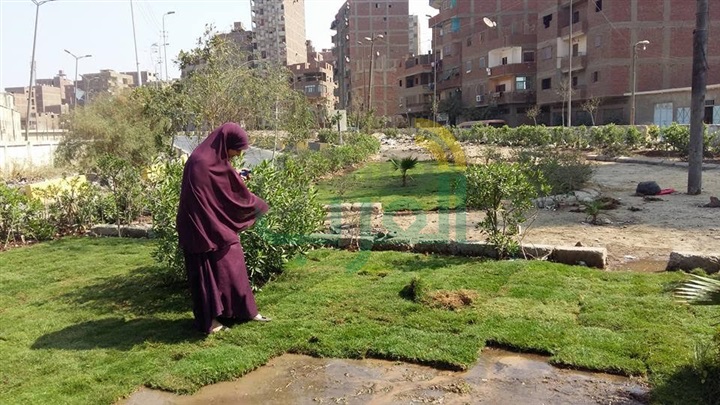 بالصور.. تجميل الجزيرة الوسطى بمدينة الخصوص 