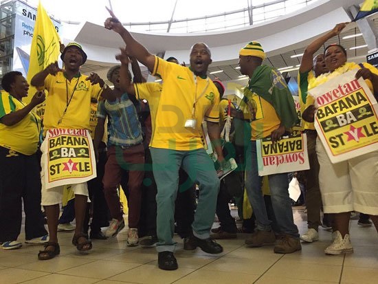 بالفيديو والصور.. استقبال أسطوري لصن داونز بجنوب أفريقيا 