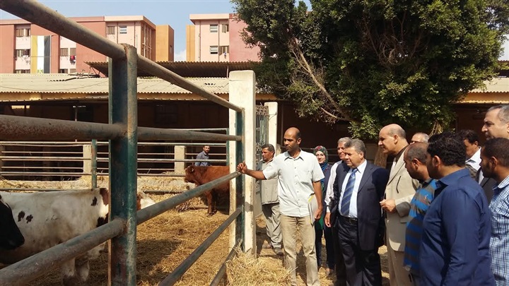 رئيس جامعة بنها يتفقد مشروع الاستزراع السمكى