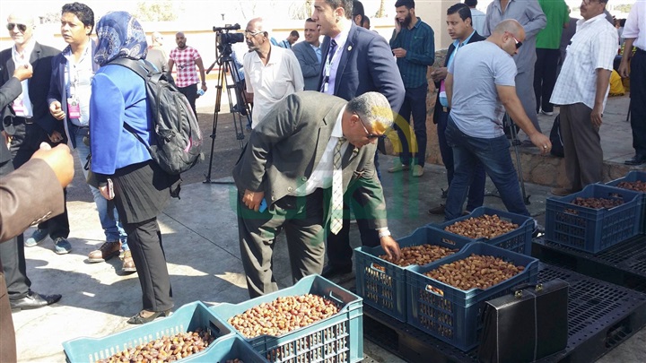 بالصور... جولة محافظ ووكيل تموين مطروح  لاحد منافذ بيع السلع  