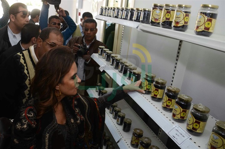 بالصور.. وزيرة التعاون الدولى تتفقد مجمع التمور بالوادي الجديد