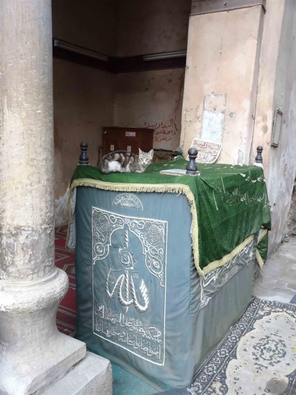 مشهد السيدة رقية بنت علي الرضا بن موسى الكاظم بن جعفر الصادق بن محمد الباقر بن علي زين العابدين بن سيدنا الحسين رضي الله عنهم بمصر - القاهرة .. مشهد السيدة رقية بنت علي الرضا بن موسى الكاظم بن جعفر الصادق بن محمد الباقر بن علي زين العابدين بن سيدنا الحسين رضي الله عنهم بمصر - القاهرة ..