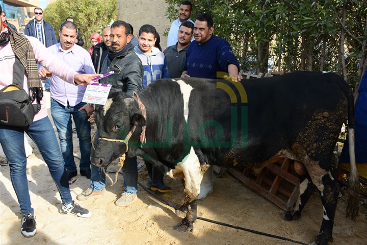 بالصور .. حورية فرغلي وأحمد زاهر يحتفلان ببدء تصوير "الحالة ج" بالصور .. حورية فرغلي وأحمد زاهر يحتفلان ببدء تصوير "الحالة ج"