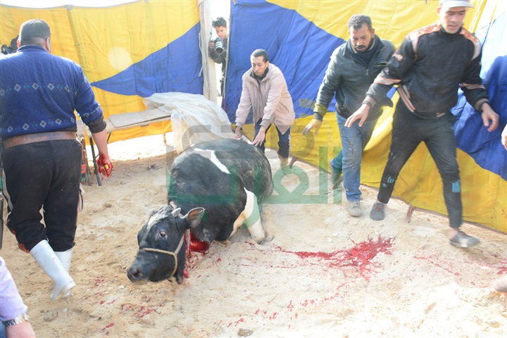 بالصور .. حورية فرغلي وأحمد زاهر يحتفلان ببدء تصوير "الحالة ج" بالصور .. حورية فرغلي وأحمد زاهر يحتفلان ببدء تصوير "الحالة ج"