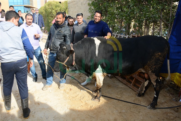 بالصور .. حورية فرغلي وأحمد زاهر يحتفلان ببدء تصوير "الحالة ج" بالصور .. حورية فرغلي وأحمد زاهر يحتفلان ببدء تصوير "الحالة ج"