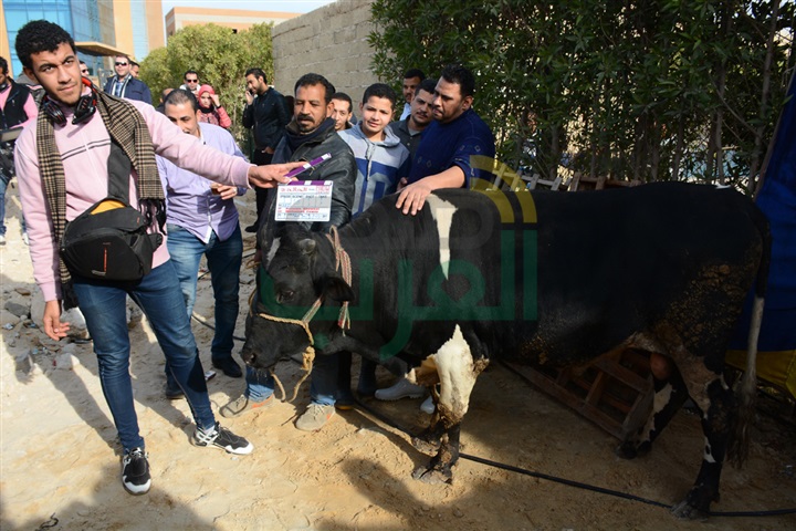بالصور .. حورية فرغلي وأحمد زاهر يحتفلان ببدء تصوير "الحالة ج" بالصور .. حورية فرغلي وأحمد زاهر يحتفلان ببدء تصوير "الحالة ج"