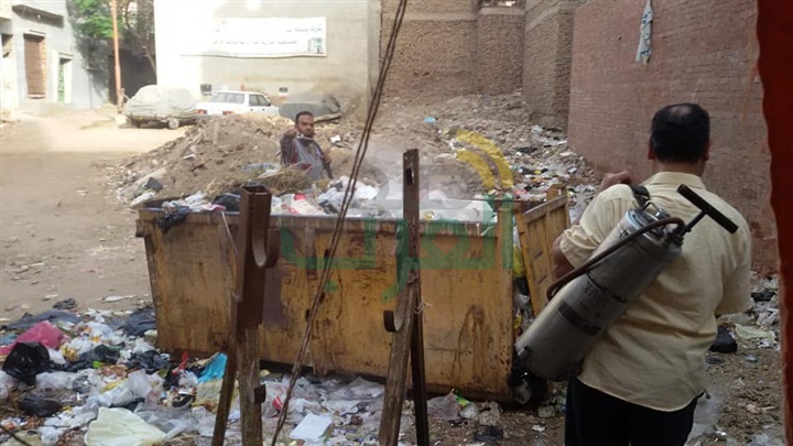 بالصور.. رش البرك وأماكن تجمعات القمامة في بيلا للقضاء علي حشرات الصيف