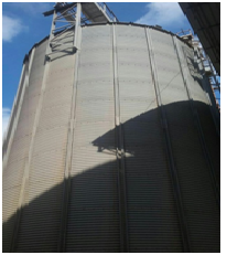 "الأمن العام" يضبط مدير صومعة وأمين مخزن لاستيلائهما على 455 طن قمح بالإسكندرية