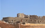 بالصور| 