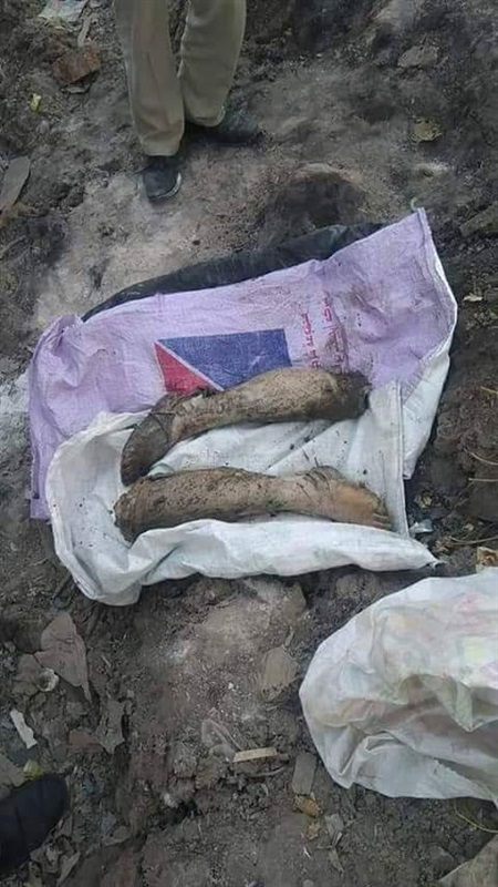 بالصور.. العثور على ساقين بمصرف العكرشة في الخانكة