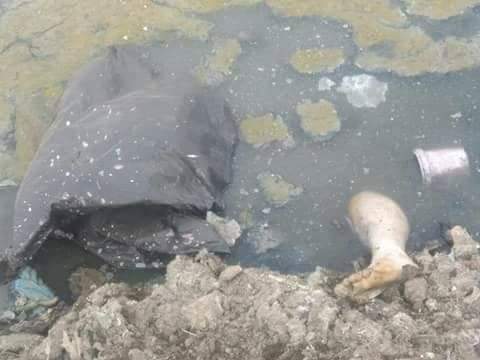 بالصور.. العثور على ساقين بمصرف العكرشة في الخانكة