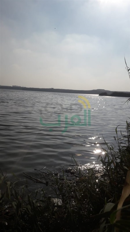 إنزال الدفعة الثانية من زريعة الأسماك ببحيرة عرب العليقات