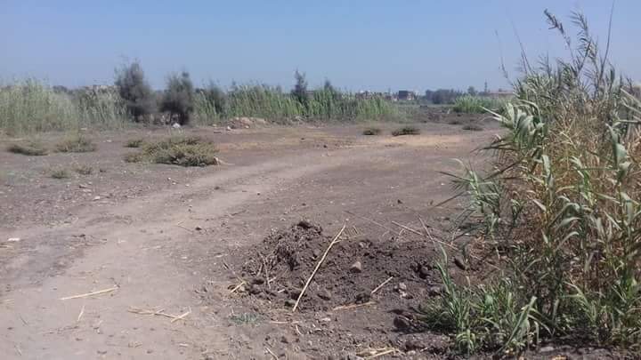بالصور .. استلام قطعة الأرض المخصصة لإقامة مدرسة يابانى بالبحيرة 