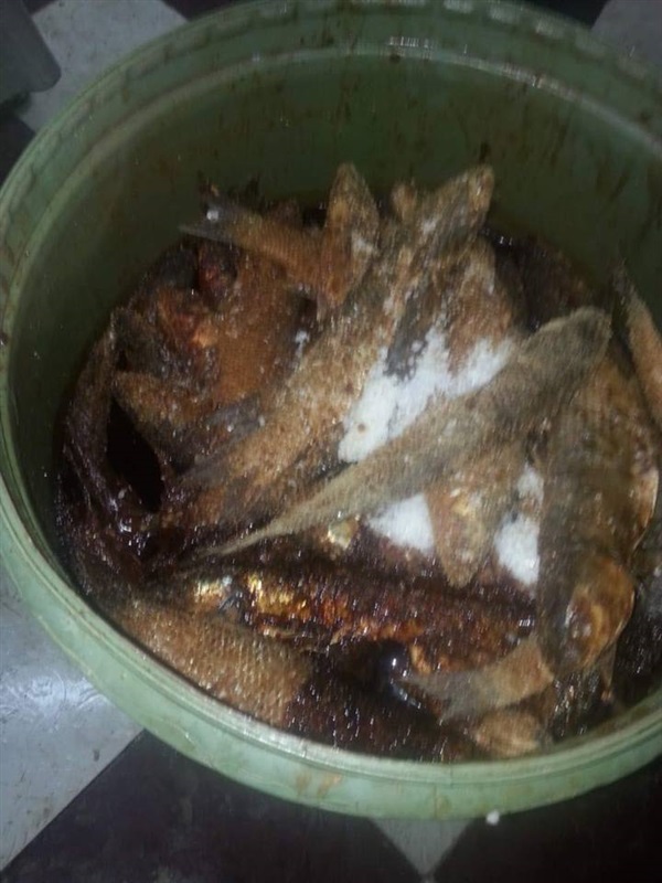 "تموين كفر الشيخ" يضبط 200 كيلو فسيخ فاسد