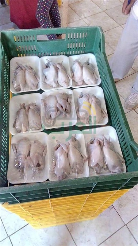 بالصور.. ضبط 4.5 طن لحوم ودواجن "فاسدة" قبل بيعها بالأسواق بكفر الشيخ