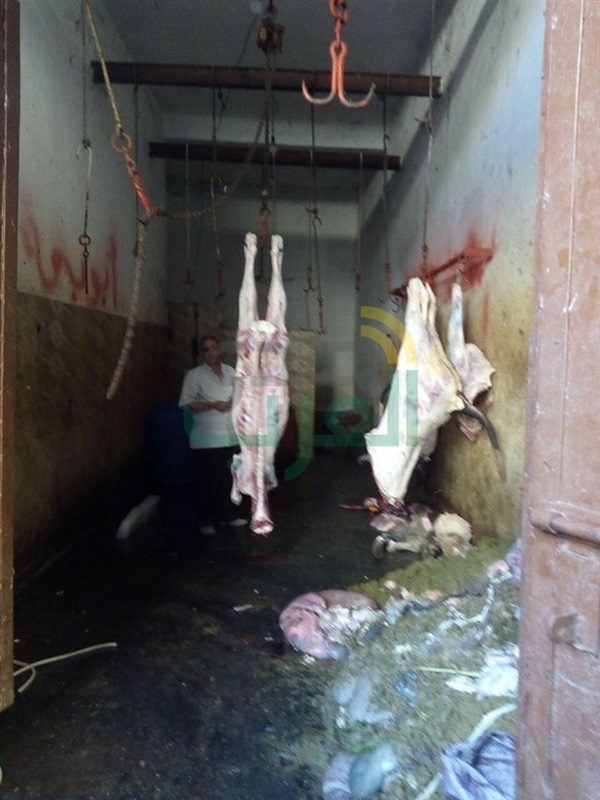 بالصور.. ضبط طن و800 كيلو لحوم مذبوحة خارج المجارز الحكومية بكفر الشيخ