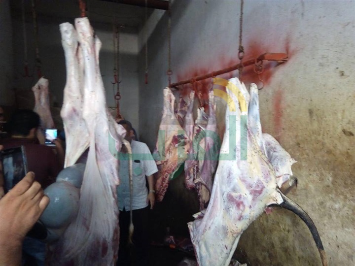 بالصور.. ضبط طن و800 كيلو لحوم مذبوحة خارج المجارز الحكومية بكفر الشيخ
