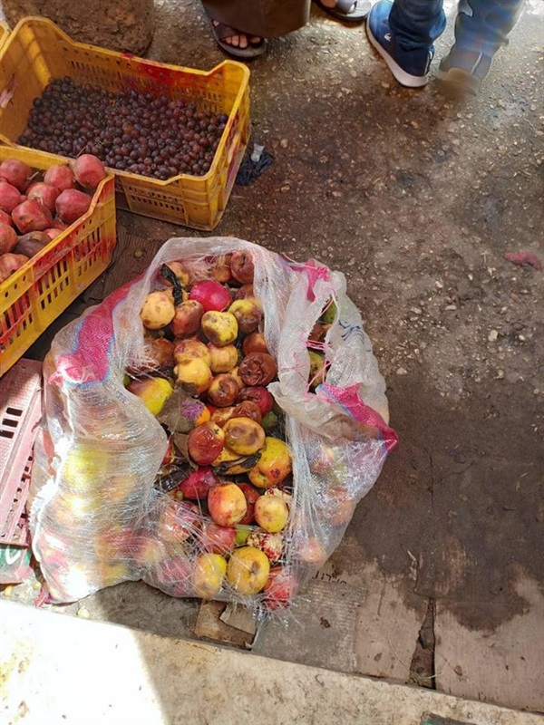 بالصور.. إعدام 100كيلو لحوم وكبدة وفواكه فاسدة بكفر الشيخ