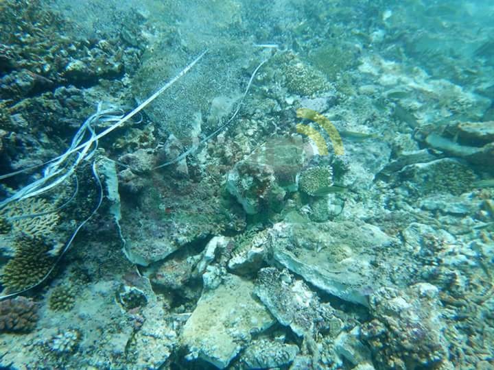 "البيئة" تغرم صاحب مركب لاتلافه شعاب مرجانية بالقرب من محمية رأس محمد