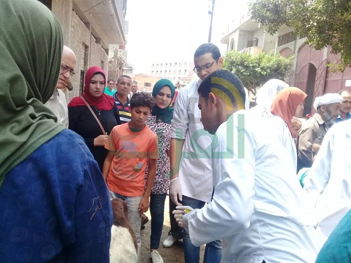 قافلة بيطرية مجانية لعلاج الحيوانات والطيور المنزلية بكفر الشيخ