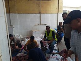 "أورمان كفر الشيخ": توزيع 25 عجل و45 طن لحوم على 190 جمعية أهلية خلال العيد 