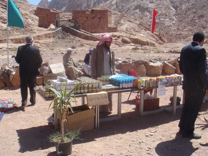 "منبر الحضارة" يطالب بإنشاء معهد بحوث للنباتات الطبية بسانت كاترين "منبر الحضارة" يطالب بإنشاء معهد بحوث للنباتات الطبية بسانت كاترين