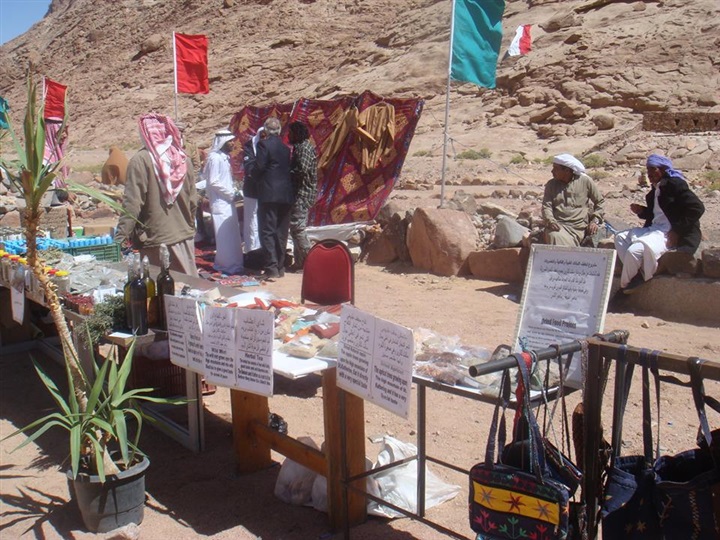 "منبر الحضارة" يطالب بإنشاء معهد بحوث للنباتات الطبية بسانت كاترين "منبر الحضارة" يطالب بإنشاء معهد بحوث للنباتات الطبية بسانت كاترين