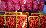 مديرية أمن كفر الشيخ تطرح 