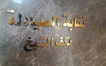  بالصور...مقر نقابة الصيادلة بكفر الشيخ حلم طال انتظاره