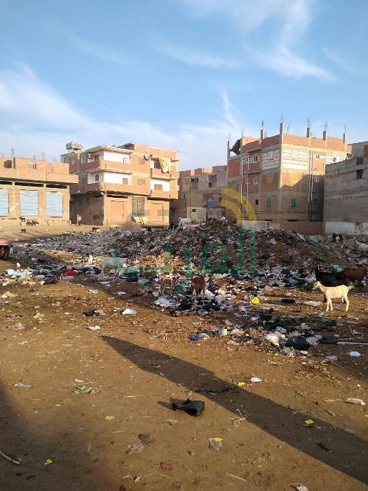 زيارة مفاجئة لمحافظ الشرقية بكفر الحمام لمتابعة أعمال الصرف الصحي والتعليم والنظافة