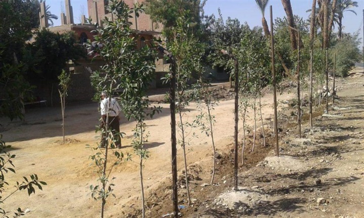 متابعه وزير التنميه المحليه لبرنامج تنميه الصعيد بتكلفه 957مليون جنيه للارتقاء بحياه المواطن