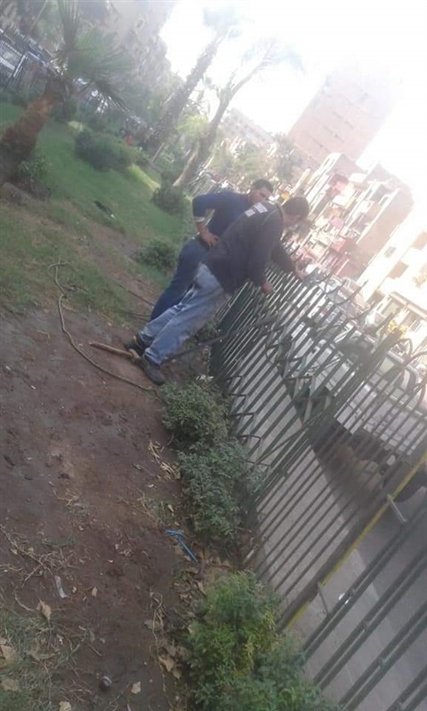 متابعة أعمال تطوير وتجميل الجزيرة الوسطى بشارع أحمد بدوي بشبرا وصيانة السور الحديدي