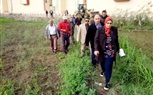 استرداد 240 فدان من الأراضي الزراعية في كفر الشيخ