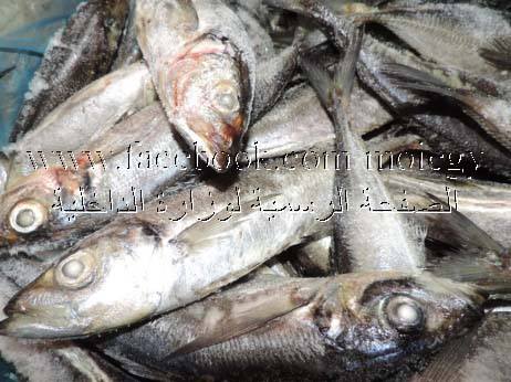 الداخلية: حملات تموينية مكبرة لضبط المتلاعبين بأسعار السلع الغذائية خلال شهر نوفمبر 2018