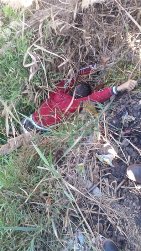 بالصور.. 24 ساعة كشفت المتهمين بقتل سائق توك توك وسرقته في كفر الشيخ