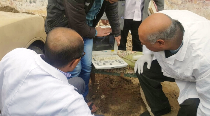 قوافل بيطرية علاجية إرشادية بالشرقية لزيادة إنتاجية الثروة الحيوانية