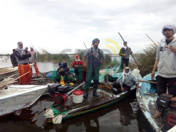بالصور.. ضبط 3 فلوكات خشبية وماكينتين" كوبوتا" في حملة لإزالة التعديات ببحيرة البرلس