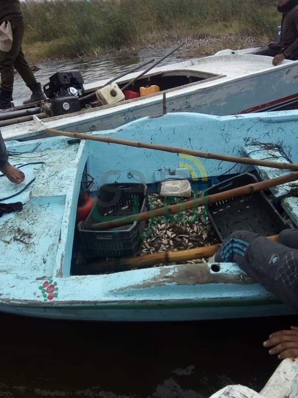 بالصور.. ضبط 3 فلوكات خشبية وماكينتين" كوبوتا" في حملة لإزالة التعديات ببحيرة البرلس