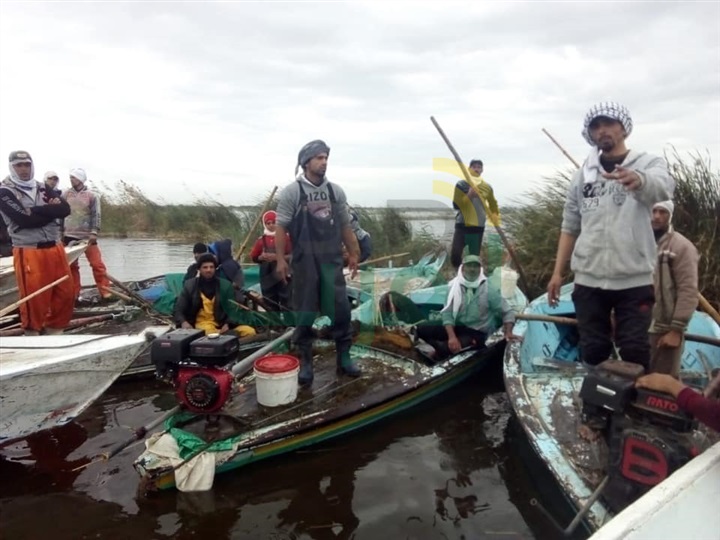 بالصور.. ضبط 3 فلوكات خشبية وماكينتين" كوبوتا" في حملة لإزالة التعديات ببحيرة البرلس
