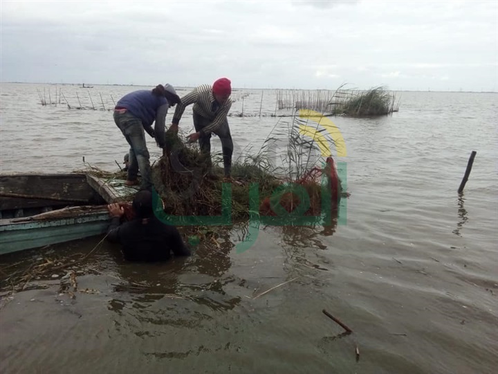 بالصور.. ضبط 3 فلوكات خشبية وماكينتين" كوبوتا" في حملة لإزالة التعديات ببحيرة البرلس