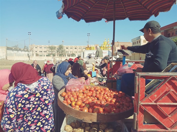 بالصور.."مستقبل وطن" بكفر الشيخ يواصل حملات النظافة بالمدن وتوفير السلع بالقرى