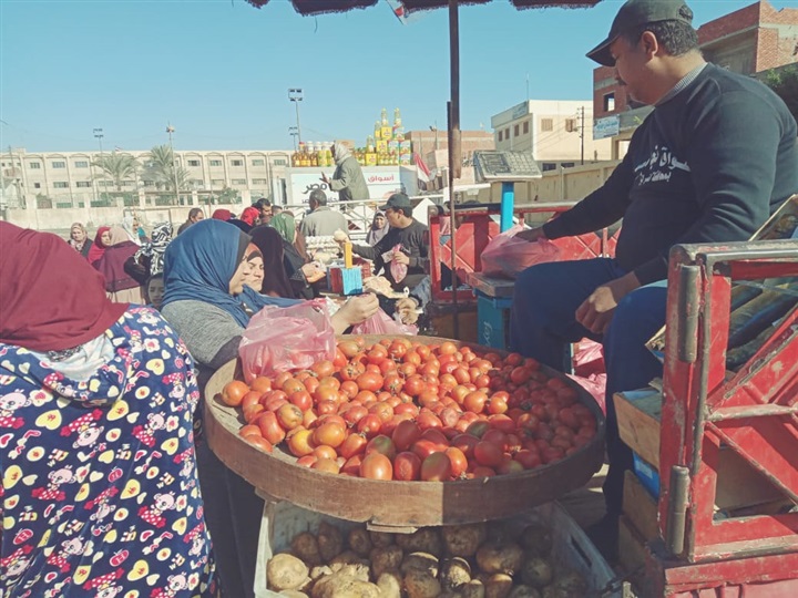 بالصور.."مستقبل وطن" بكفر الشيخ يواصل حملات النظافة بالمدن وتوفير السلع بالقرى