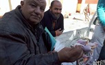 بالصور.. ضبط 3 أطنان دواجن وهياكل غير صالحة للاستهلاك الآدمي في بيلا بكفر الشيخ