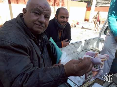 بالصور.. ضبط 3 أطنان دواجن وهياكل غير صالحة للاستهلاك الآدمي في بيلا بكفر الشيخ