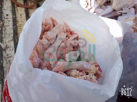 بالصور.. ضبط 3 أطنان دواجن وهياكل غير صالحة للاستهلاك الآدمي في بيلا بكفر الشيخ