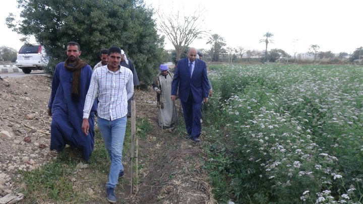 رئيس جامعة المنيا يتفقد أراضي مركز النباتات الطبية والعطرية
