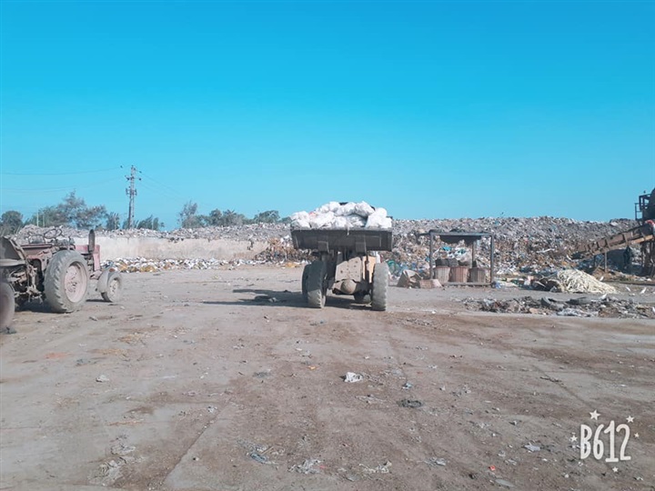 بالصور.. إعدام طن دواجن و1530 دجاجة غير صالحة للاستهلاك الآدمي في بيلا