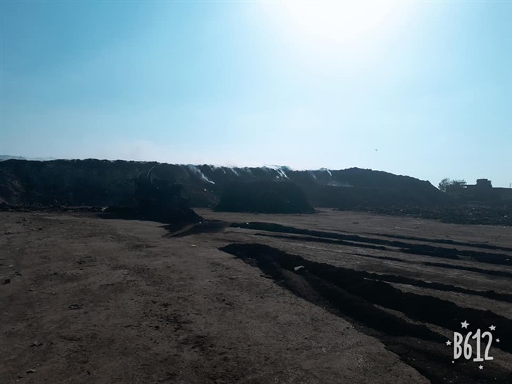 بالصور.. إعدام طن دواجن و1530 دجاجة غير صالحة للاستهلاك الآدمي في بيلا